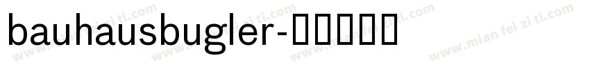 bauhausbugler字体转换