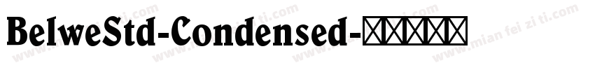 BelweStd-Condensed字体转换