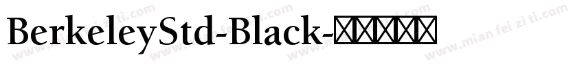 BerkeleyStd-Black字体转换