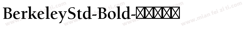 BerkeleyStd-Bold字体转换