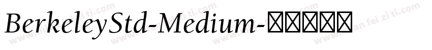 BerkeleyStd-Medium字体转换