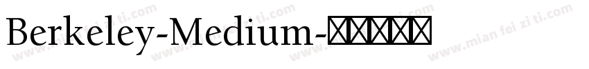 Berkeley-Medium字体转换