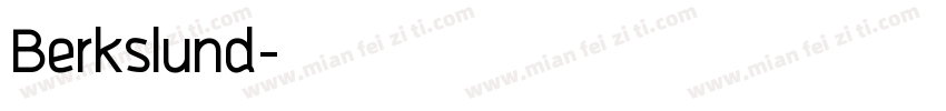 Berkslund字体转换