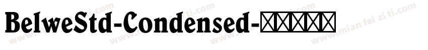 BelweStd-Condensed字体转换
