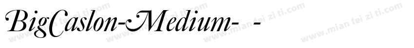 BigCaslon-Medium-中字体转换