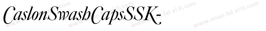 CaslonSwashCapsSSK字体转换
