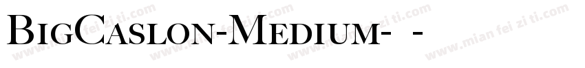 BigCaslon-Medium-中字体转换