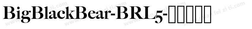 BigBlackBear-BRL5字体转换