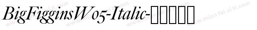 BigFigginsW05-Italic字体转换