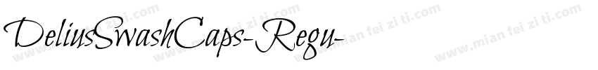 DeliusSwashCaps-Regu字体转换
