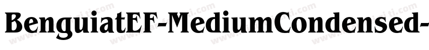 BenguiatEF-MediumCondensed字体转换