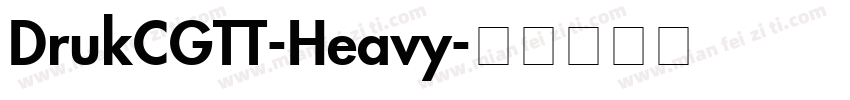 DrukCGTT-Heavy字体转换