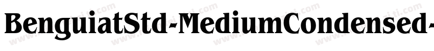 BenguiatStd-MediumCondensed字体转换