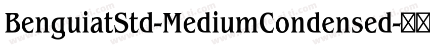 BenguiatStd-MediumCondensed字体转换