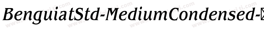 BenguiatStd-MediumCondensed字体转换