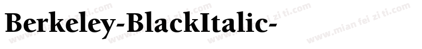Berkeley-BlackItalic字体转换