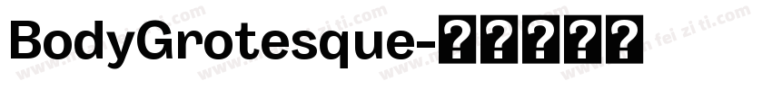 BodyGrotesque字体转换