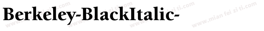 Berkeley-BlackItalic字体转换