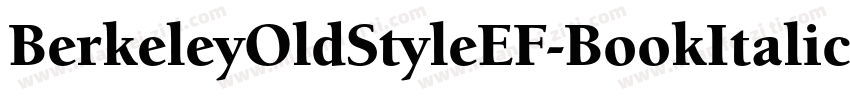 BerkeleyOldStyleEF-BookItalic字体转换