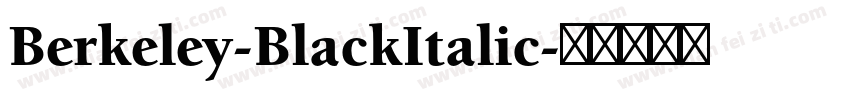 Berkeley-BlackItalic字体转换