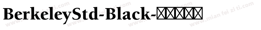 BerkeleyStd-Black字体转换