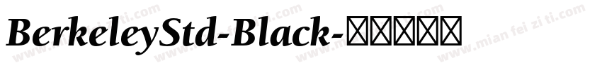 BerkeleyStd-Black字体转换
