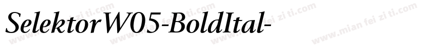 SelektorW05-BoldItal字体转换