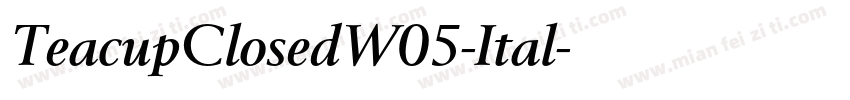 TeacupClosedW05-Ital字体转换