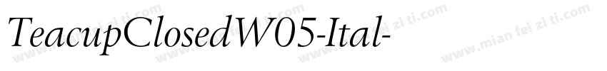 TeacupClosedW05-Ital字体转换