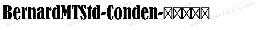 BernardMTStd-Conden字体转换