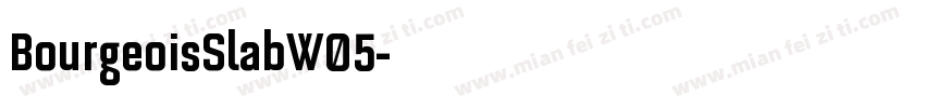 BourgeoisSlabW05字体转换