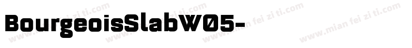 BourgeoisSlabW05字体转换
