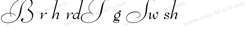 BernhardTangoSwash字体转换