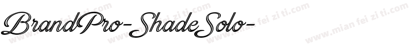 BrandPro-ShadeSolo字体转换