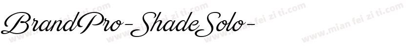 BrandPro-ShadeSolo字体转换
