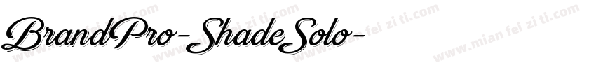 BrandPro-ShadeSolo字体转换