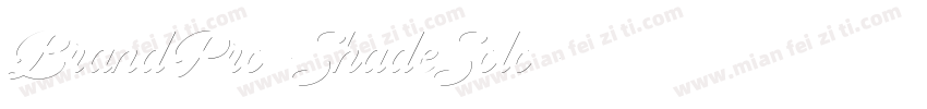 BrandPro-ShadeSolo字体转换