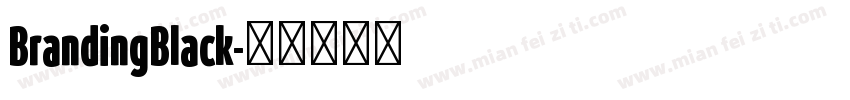 BrandingBlack字体转换