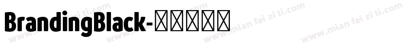 BrandingBlack字体转换