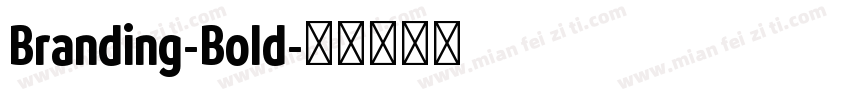 Branding-Bold字体转换