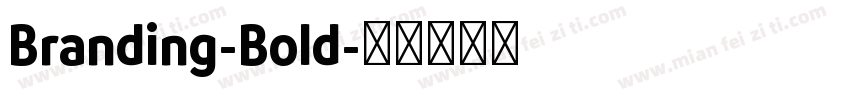 Branding-Bold字体转换