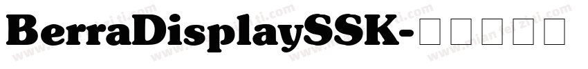 BerraDisplaySSK字体转换