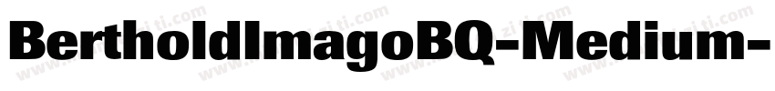BertholdImagoBQ-Medium字体转换