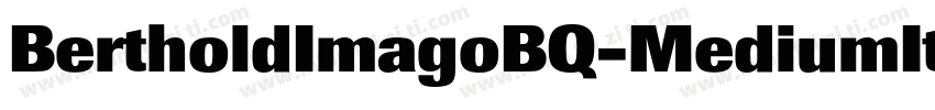 BertholdImagoBQ-MediumItalic字体转换