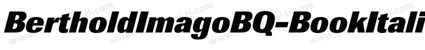 BertholdImagoBQ-BookItalic字体转换