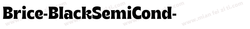 Brice-BlackSemiCond字体转换