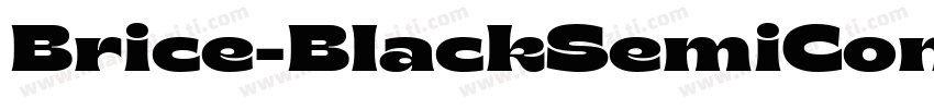 Brice-BlackSemiCond字体转换