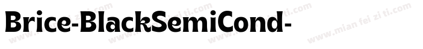 Brice-BlackSemiCond字体转换