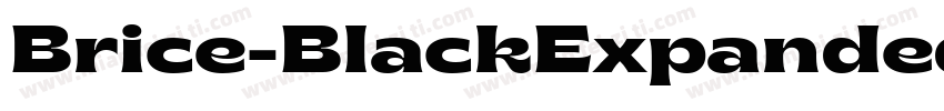 Brice-BlackExpanded字体转换
