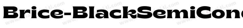 Brice-BlackSemiCond字体转换